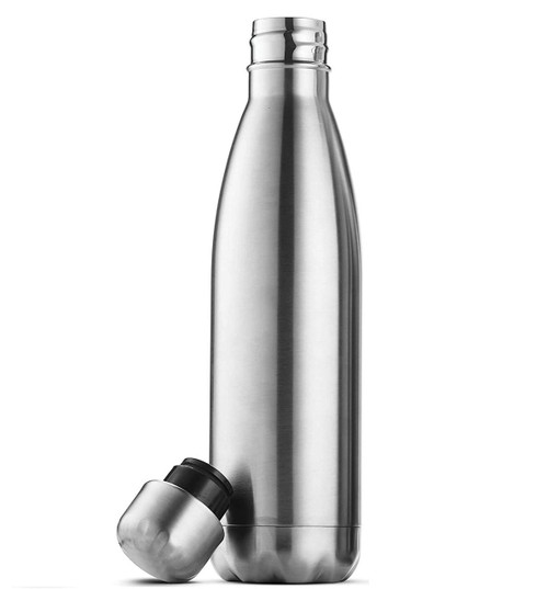 Alkaline Water Plus 17-Ounce Silver Stainless Triple-Iinsulated Water Bottle 