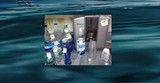 Testing Bottled Water, Ionized Water and Tap Water for Fluoride
