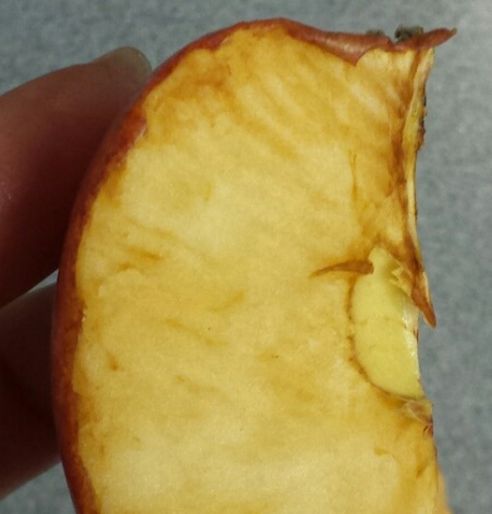 oxidation of apple