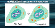 Free-Hydrogen and Cellular Aging (Senescence)