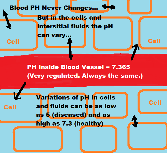 PH of Blood, Cells and Interstitial Fluids